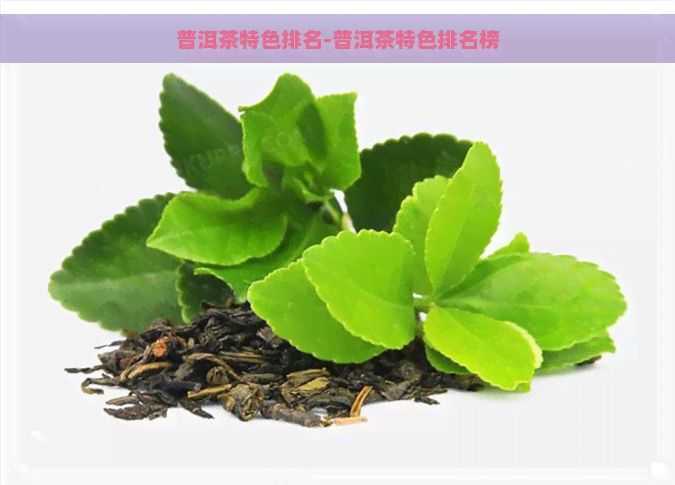 普洱茶特色排名-普洱茶特色排名榜