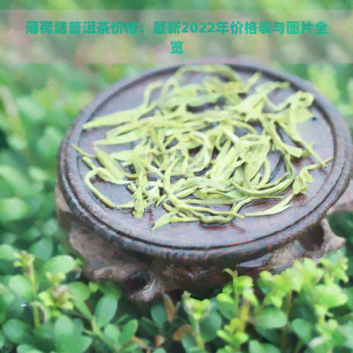 薄荷塘普洱茶价格：最新2022年价格表与图片全览