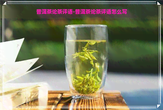 普洱茶论茶评语-普洱茶论茶评语怎么写