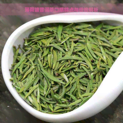 薄荷塘普洱茶口感特点与价格解析