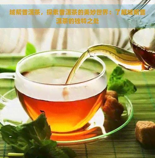 域帮普洱茶，探索普洱茶的美妙世界：了解域帮普洱茶的独特之处