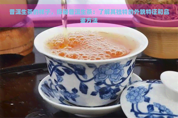 普洱生茶的样子，探秘普洱生茶：了解其独特的外貌特征和品鉴方法