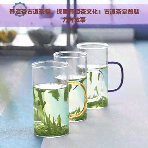 普洱茶古道茶堂，探索普洱茶文化：古道茶堂的魅力与故事