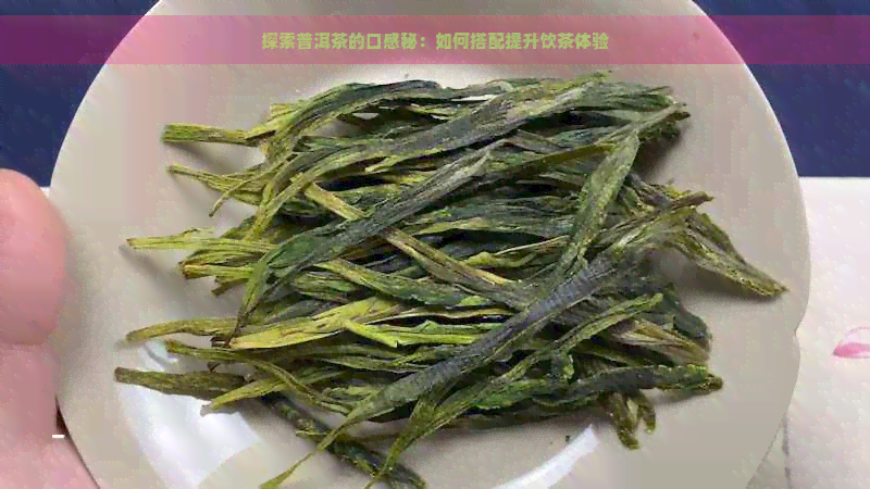 探索普洱茶的口感秘：如何搭配提升饮茶体验