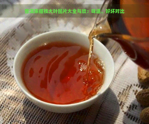 普洱茶粗枝大叶图片大全与欣：味道、好坏对比