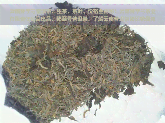 云南臻字号普洱茶：生茶、茶叶、价格全揭秘！云南臻字号茶业有限责任公司出品，臻源号普洱茶，了解云南普洱茶臻印象最新价格！