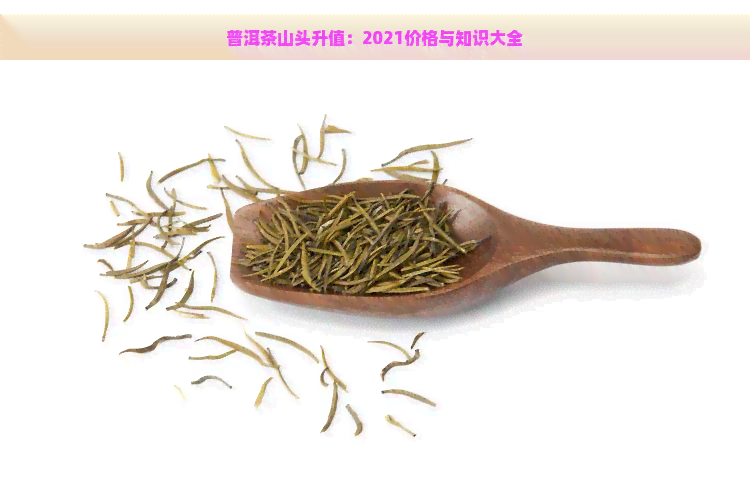 普洱茶山头升值：2021价格与知识大全