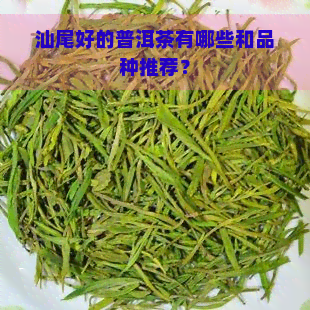 汕尾好的普洱茶有哪些和品种推荐？