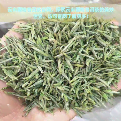 云南国艳普洱茶官网，探索云南国艳普洱茶的美妙世界，访问官网了解更多！