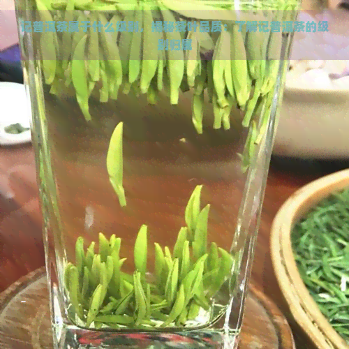 记普洱茶属于什么级别，揭秘茶叶品质：了解记普洱茶的级别归属