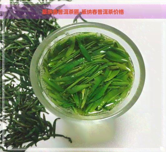 版纳春普洱茶匾-版纳春普洱茶价格