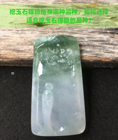 挖玉石猫眼推荐哪种品种，如何选择适合挖玉石猫眼的品种？