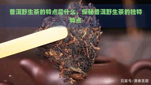 普洱野生茶的特点是什么，探秘普洱野生茶的独特特点