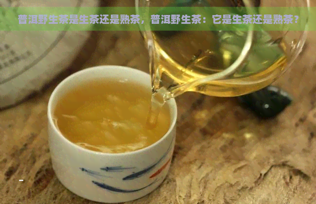 普洱野生茶是生茶还是熟茶，普洱野生茶：它是生茶还是熟茶？