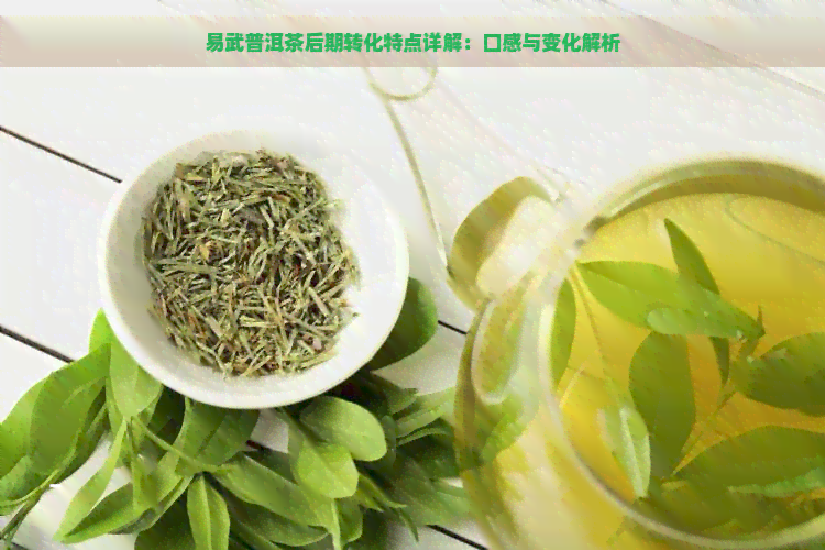 易武普洱茶后期转化特点详解：口感与变化解析