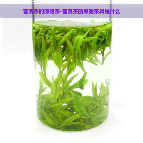 普洱茶的原始茶-普洱茶的原始茶具是什么