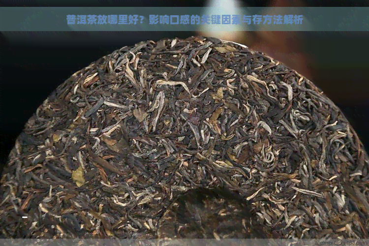 普洱茶放哪里好？影响口感的关键因素与存方法解析