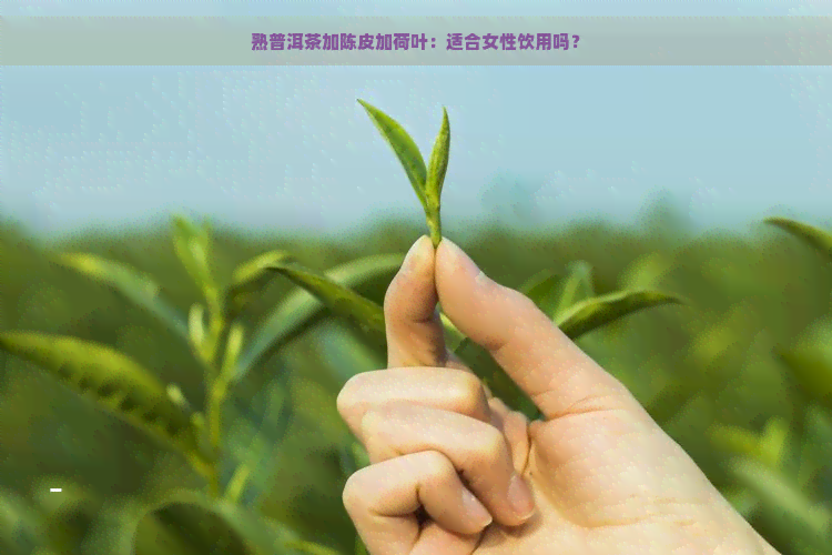 熟普洱茶加陈皮加荷叶：适合女性饮用吗？