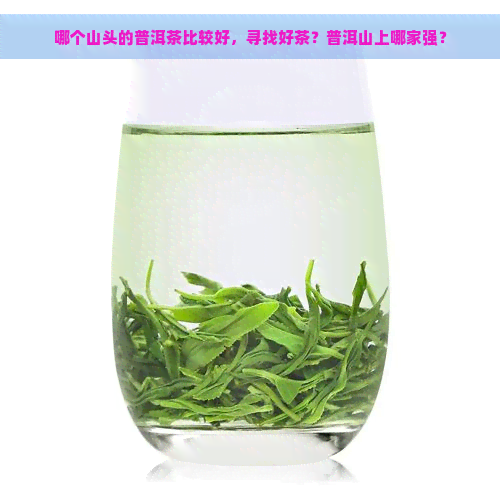 哪个山头的普洱茶比较好，寻找好茶？普洱山上哪家强？