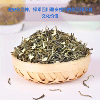 雅安茶品种，探索四川雅安独特的茶品种及其文化价值