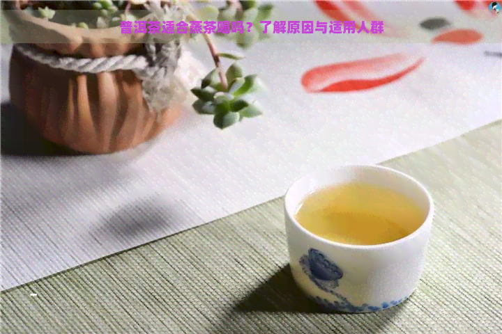 普洱茶适合蒸茶喝吗？了解原因与适用人群