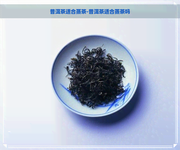 普洱茶适合蒸茶-普洱茶适合蒸茶吗