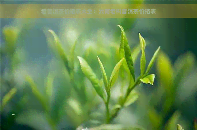 老普洱茶价格表大全：云南老树普洱茶价格表