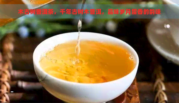 木古树普洱茶，千年古树木普洱，品味岁月留香的韵味