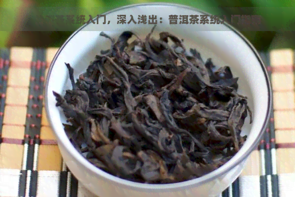 普洱茶系统入门，深入浅出：普洱茶系统入门指南