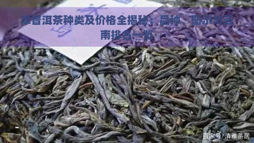 津普洱茶种类及价格全揭秘：品种、图示与云南排名一览