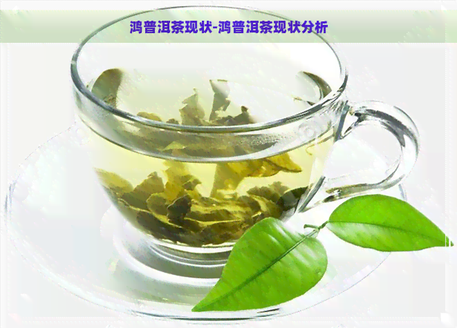 鸿普洱茶现状-鸿普洱茶现状分析