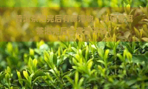 普洱茶泡完后有漂浮物，为何普洱茶泡完后会有漂浮物？