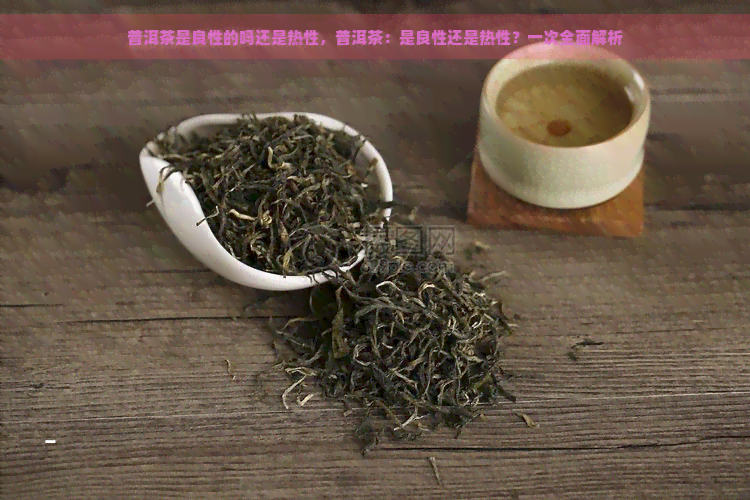 普洱茶是良性的吗还是热性，普洱茶：是良性还是热性？一次全面解析