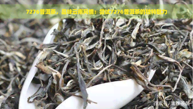 7276普洱茶，品味云南风情：尝试7276普洱茶的独特魅力