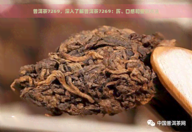 普洱茶7269，深入了解普洱茶7269：历、口感和鉴别方法