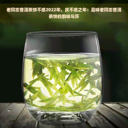 老同志普洱茶饼不惑2022年，庆不惑之年：品味老同志普洱茶饼的韵味与历