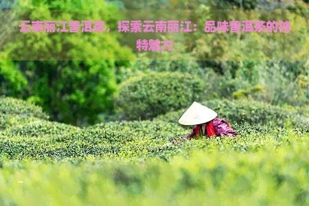 云南丽江普洱茶，探索云南丽江：品味普洱茶的独特魅力