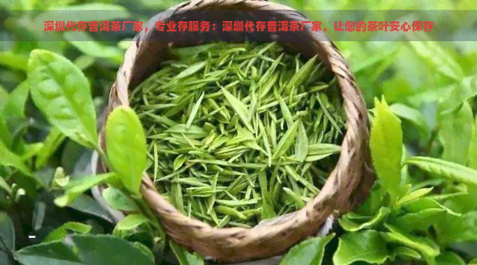 深圳代存普洱茶厂家，专业存服务：深圳代存普洱茶厂家，让您的茶叶安心保存