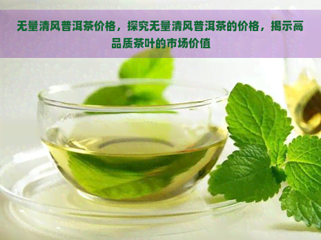 无量清风普洱茶价格，探究无量清风普洱茶的价格，揭示高品质茶叶的市场价值