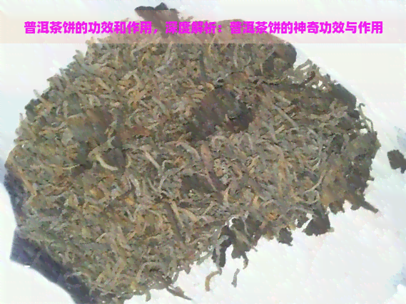 普洱茶饼的功效和作用，深度解析：普洱茶饼的神奇功效与作用