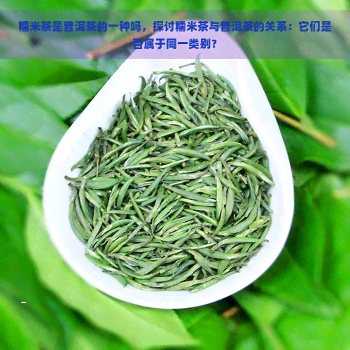 糯米茶是普洱茶的一种吗，探讨糯米茶与普洱茶的关系：它们是否属于同一类别？