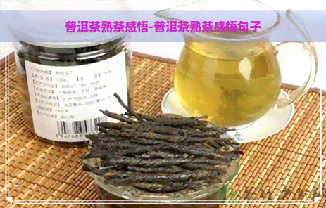 普洱茶熟茶感悟-普洱茶熟茶感悟句子