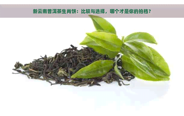 新云南普洱茶生肖饼：比较与选择，哪个才是你的拍档？