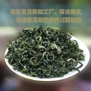 易武普洱茶加工厂，探访易武：揭秘普洱茶的制作过程和独特韵味