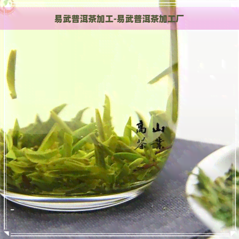 易武普洱茶加工-易武普洱茶加工厂