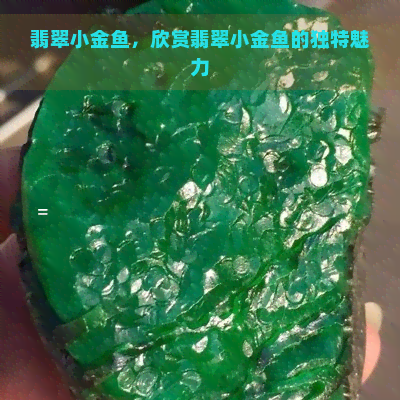 翡翠小金鱼，欣赏翡翠小金鱼的独特魅力