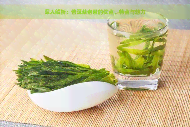 深入解析：普洱茶老茶的优点、特点与魅力