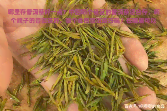 哪里存普洱茶好一点？中国哪个茶区的普洱茶适合存，哪个牌子的普洱茶好，哪个仓的普洱茶好喝？在哪里可以买到普洱茶？