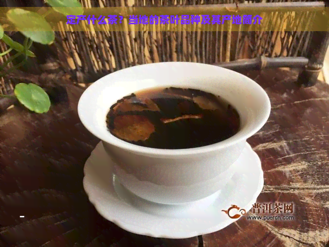 定产什么茶？当地的茶叶品种及其产地简介