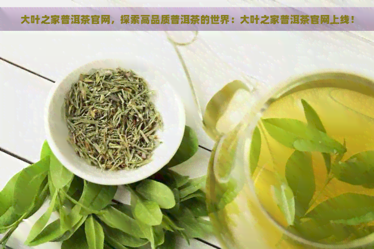 大叶之家普洱茶官网，探索高品质普洱茶的世界：大叶之家普洱茶官网上线！